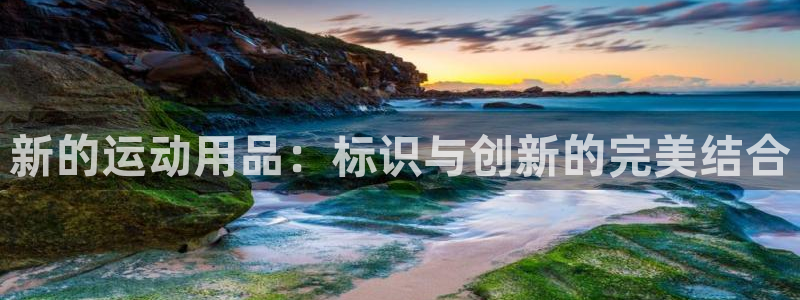 征途国际代理：新的运动用品：标识与创新的完美结合