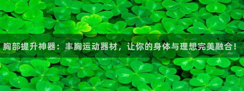 征途国际平台体育：胸部提升神器：丰胸运动器材，让你的