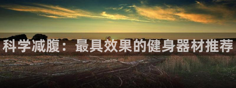 征途国际注册：科学减腹：最具效果的健身器材推荐