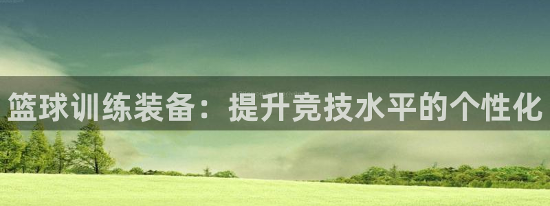 征途国际招商电话：篮球训练装备：提升竞技水平的个性化
