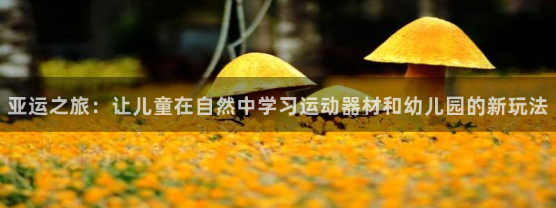征途国际平台是正规平台吗：亚运之旅：让儿童在自然中学习运动器