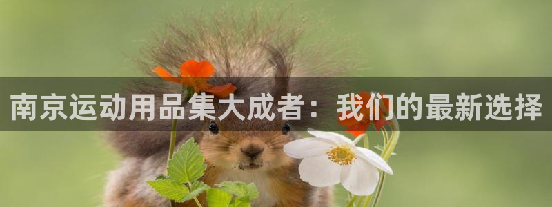 征途国际平台是正规平台吗知乎：南京运动用品集大成者：