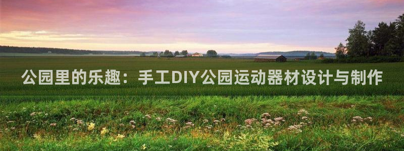 征途国际平台注册流程图：公园里的乐趣：手工DIY公园