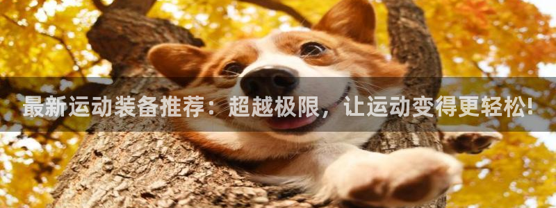 征途国际开户：最新运动装备推荐：超越极限，让运动变得更轻松!