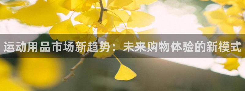 征途国际集团官网：运动用品市场新趋势：未来购物体验的