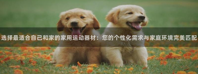 征途国际娱乐：选择最适合自己和家的家用运动器材：您的