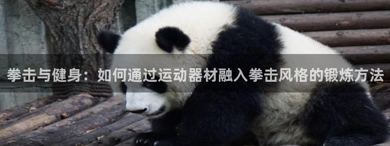 德国征途国际集团：拳击与健身：如何通过运动器材融入拳