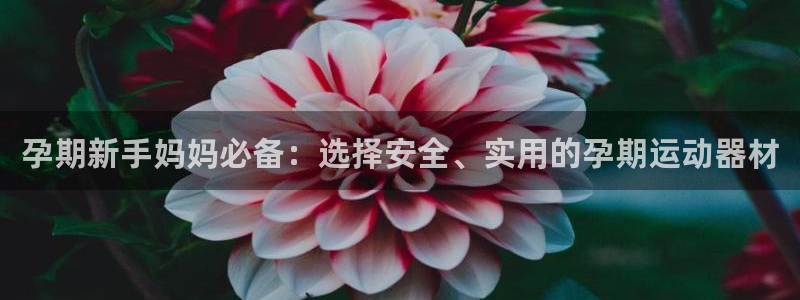注册征途国际：孕期新手妈妈必备：选择安全、实用的孕期