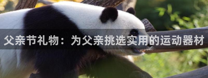 征途国际集团简介：父亲节礼物：为父亲挑选实用的运动器