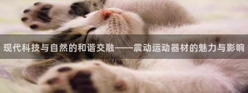 征途国际娱乐代理怎么样