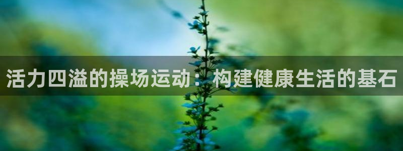 征途国际开户