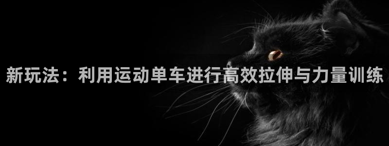 征途国际平台APP：新玩法：利用运动单车进行高效拉伸与力量训