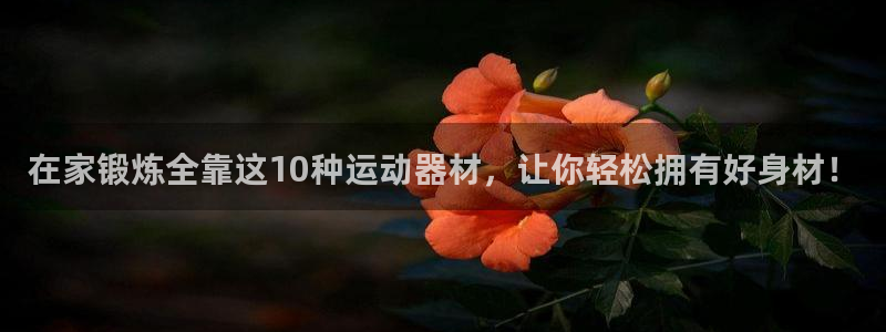 征途国际：在家锻炼全靠这10种运动器材，让你轻松拥有好身材！