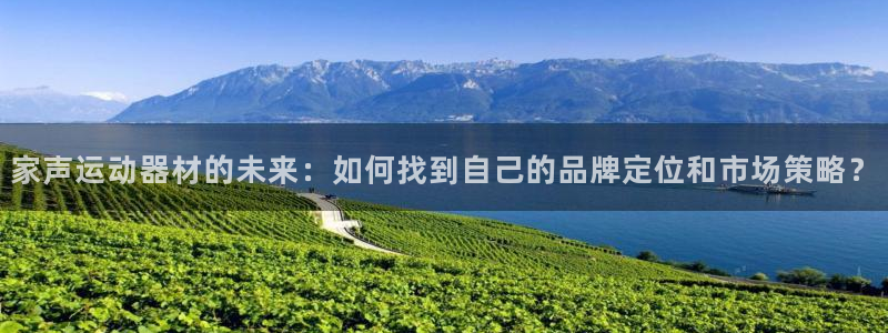征途国际平台是正规平台吗安全吗：家声运动器材的未来：如何找到