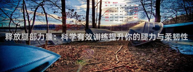 征途国际软件：释放腿部力量：科学有效训练提升你的腿力
