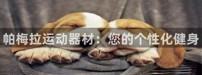 征途国际平台假的吗是真的吗吗：帕梅拉运动器材：您的个性化健身