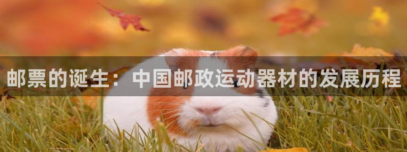 征途国际集团简介：邮票的诞生：中国邮政运动器材的发展历程