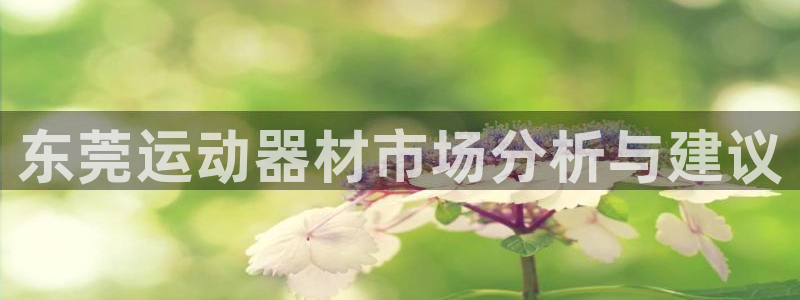 征途国际平台APP：东莞运动器材市场分析与建议